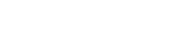 clever logo