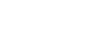 Opt logo