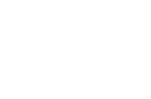 StudioHawk logo